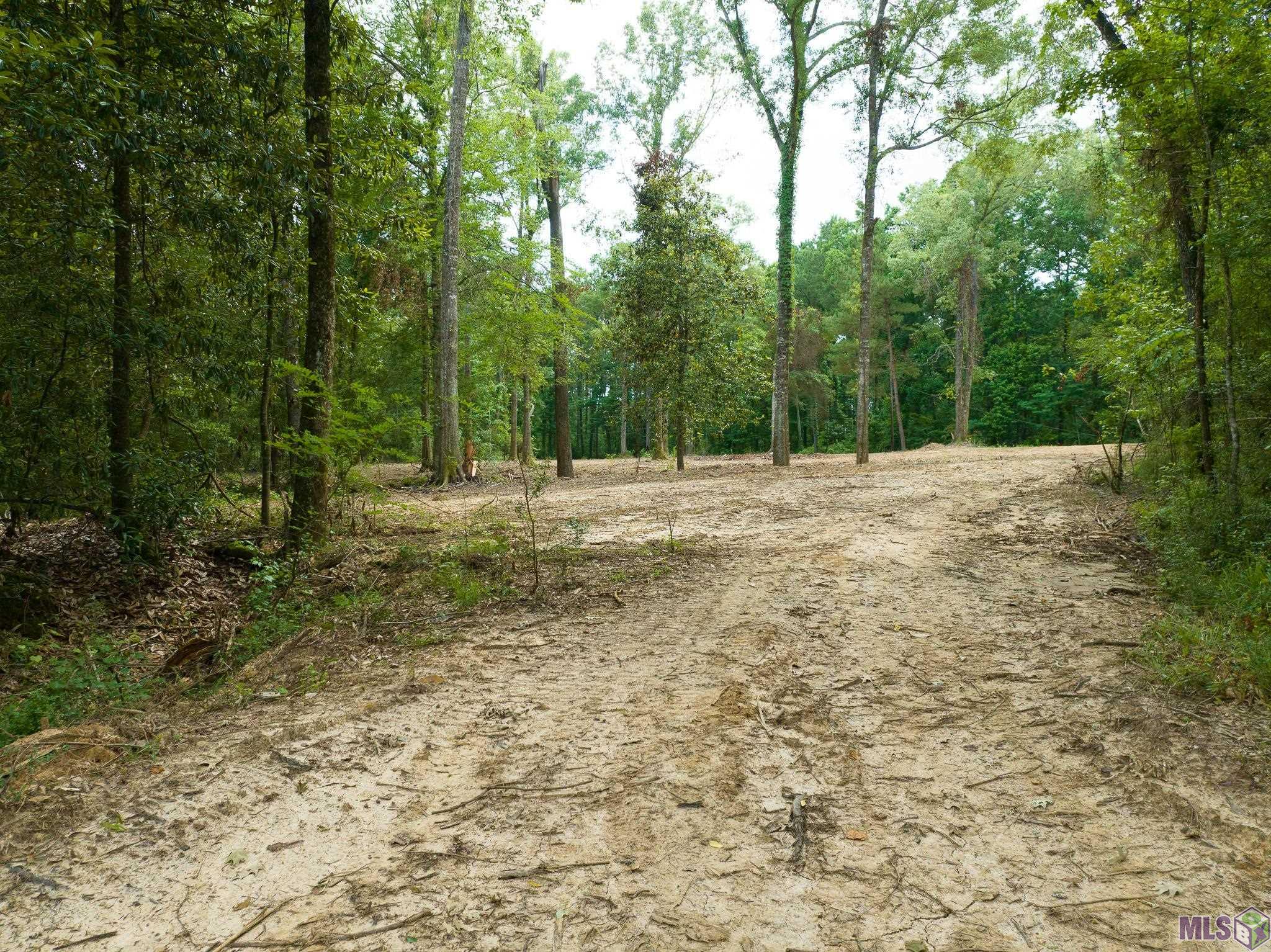 7312 Stirling Rd Street St. Francisville, LA 70775 - Photo 6 of 20