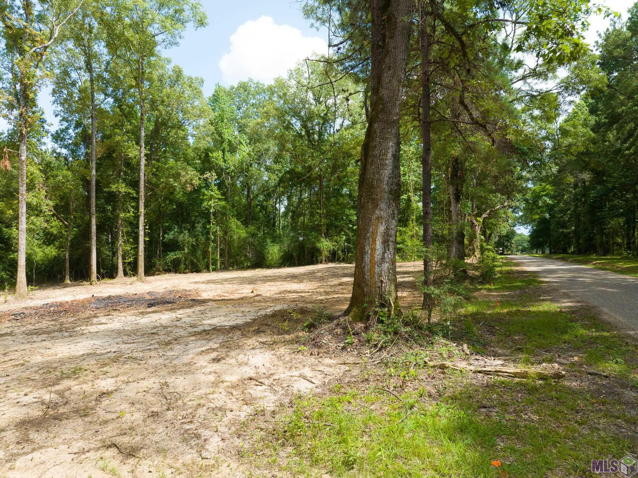 7312 Stirling Rd Street St. Francisville, LA 70775 - Photo 7 of 20