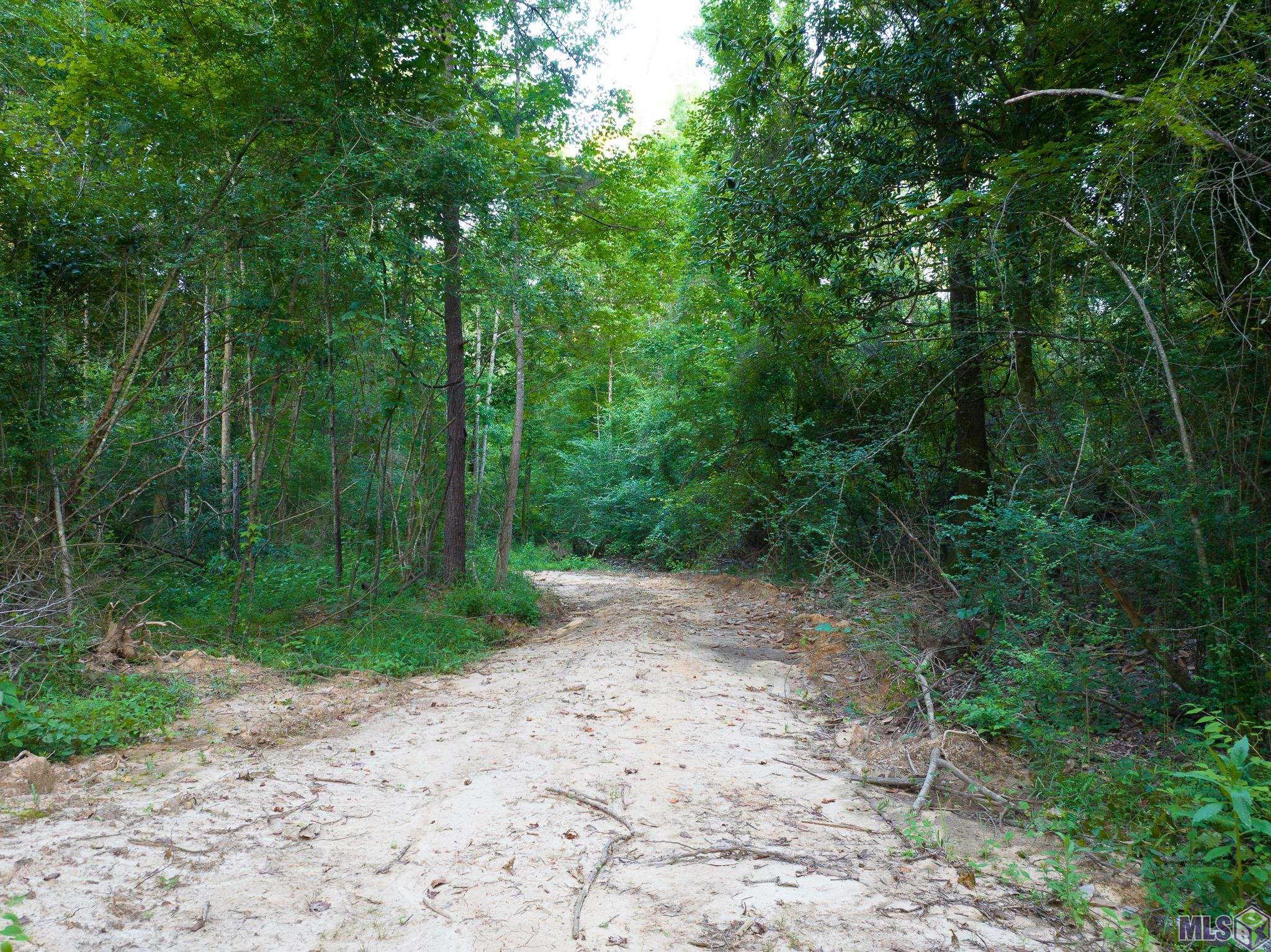 7312 Stirling Rd Street St. Francisville, LA 70775 - Photo 9 of 20