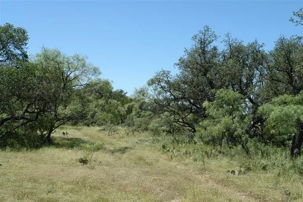 a view of a dry yard