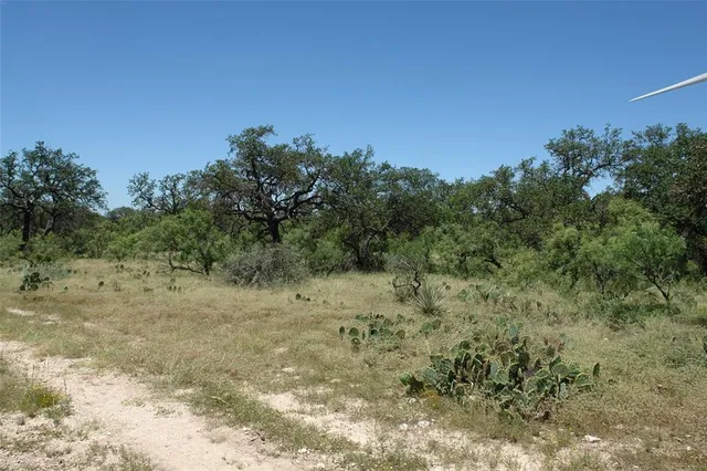 a view of a dry yard