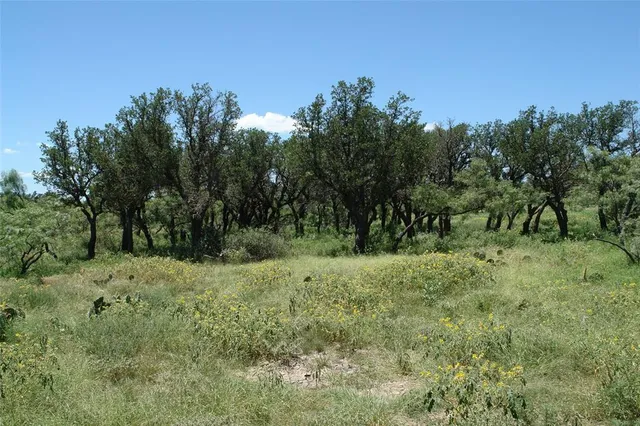 a big yard with lots of green space and deers