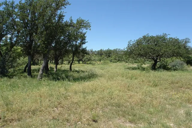 a view of some trees in a field