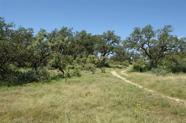a view of a yard with a tree