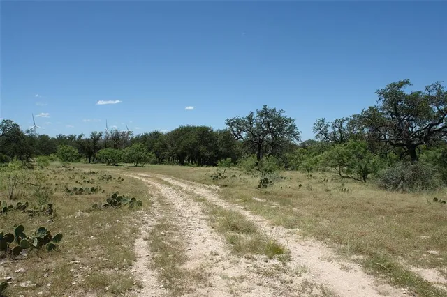 a view of outdoor space with trees all around