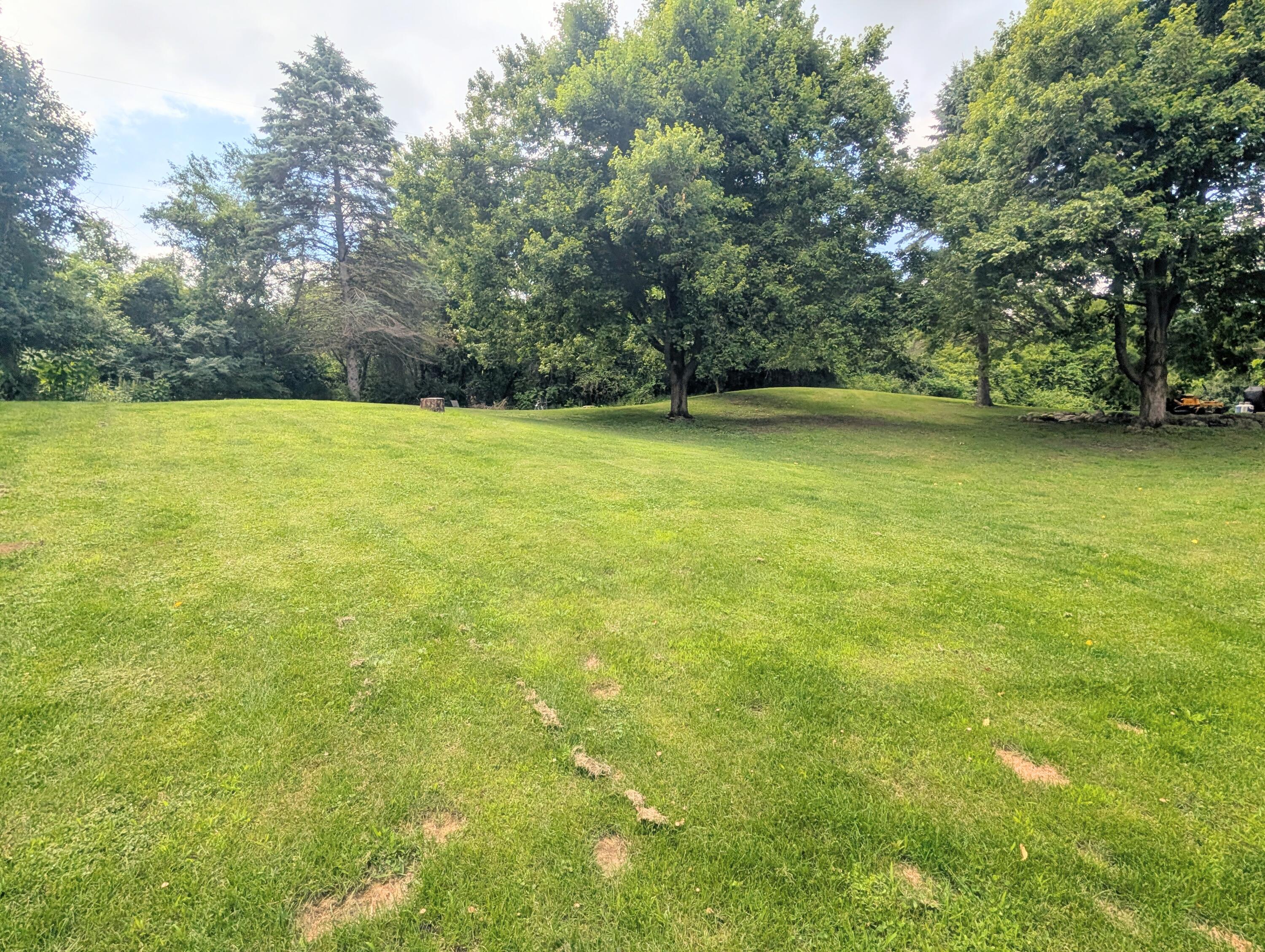 5900 Springbrook Road Horton, MI 49246 - Photo 8 of 42 1000045901