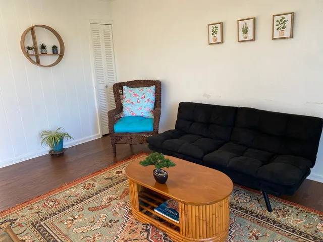 a living room with furniture and a rug