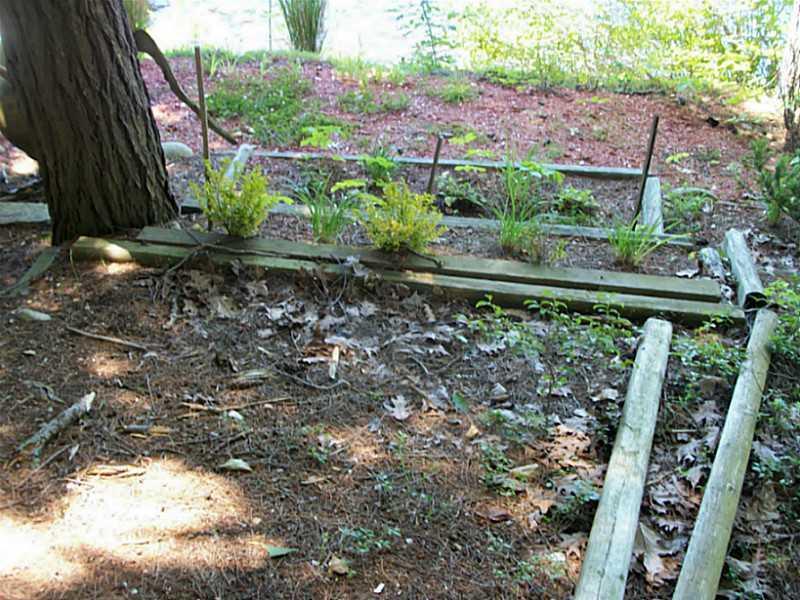 9 Long Island Cumberland, ME 04021 - Photo 20 of 32 Yard/Garden.