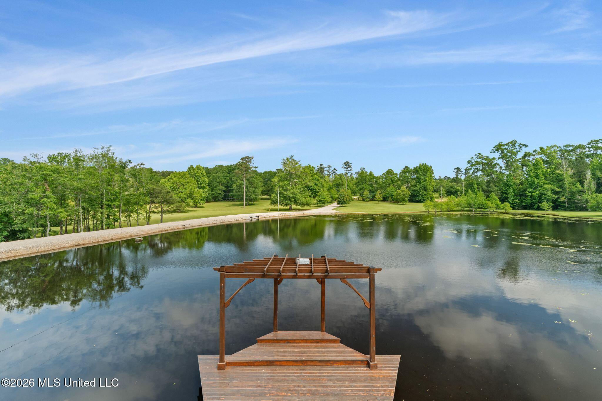 115 North Slade Road Sumrall, MS 39482 - Photo 44 of 86 115_North_Slade_Road-44