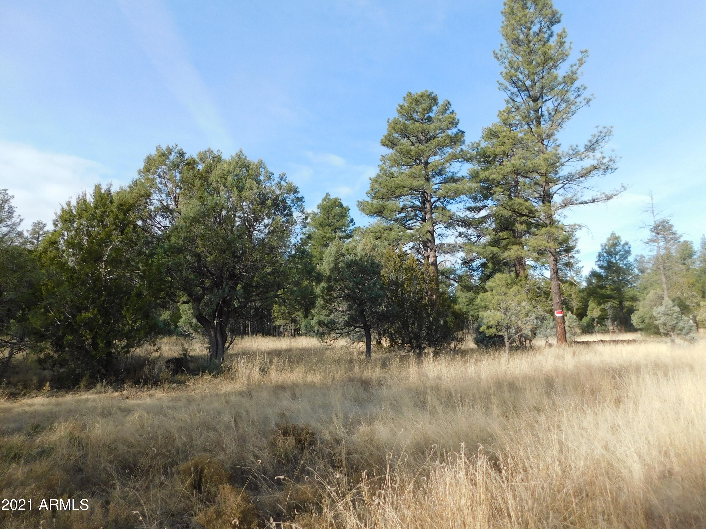 2086 Canyon Ridge Road Overgaard, AZ 85933 - Photo 3 of 3 2086 B Ponderosa Tr (3)