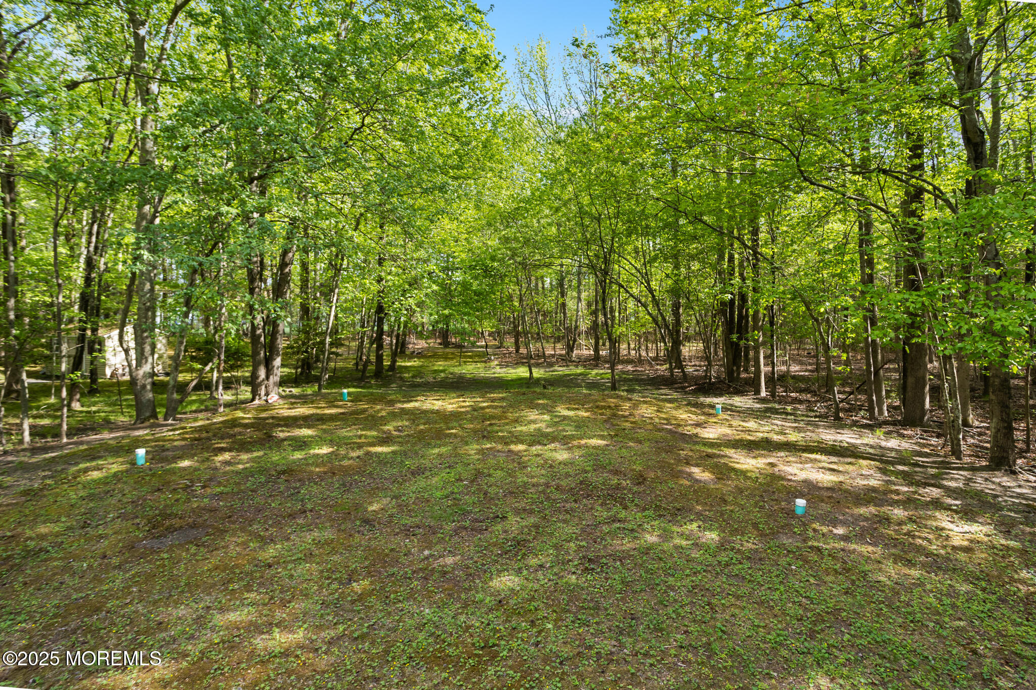 47 East Pleasant Grove Road Jackson, NJ 08527 - Photo 42 of 44 a view of outdoor space with trees all around