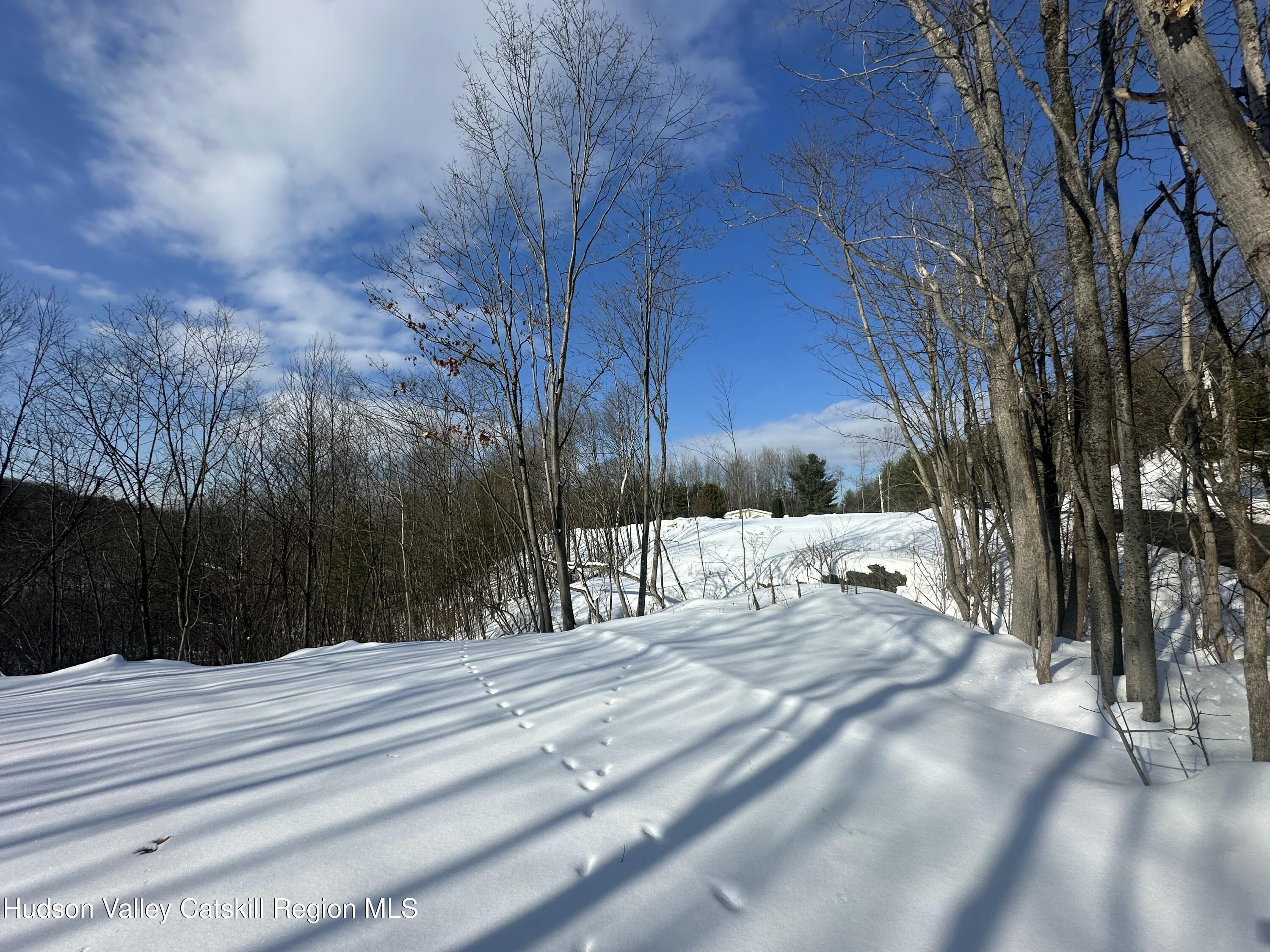 64 Palmer Road Craryville, NY 12521 - Photo 16 of 24 a view of pathway with a wrought fence