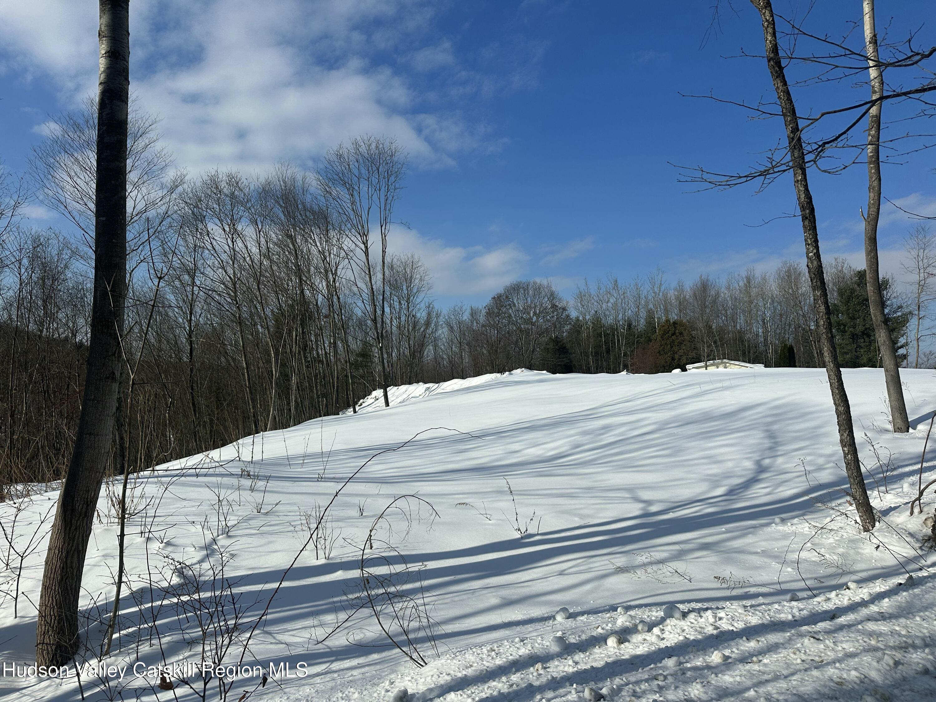 64 Palmer Road Craryville, NY 12521 - Photo 17 of 24 a view of a backyard of the house