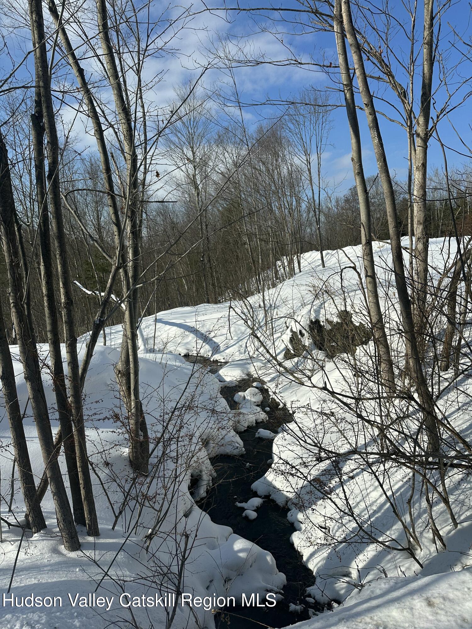 64 Palmer Road Craryville, NY 12521 - Photo 18 of 24 a view of a yard covered with snow in back