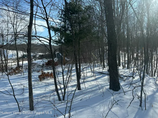 $75,000 | 64 Palmer Road, Craryville, NY 12521