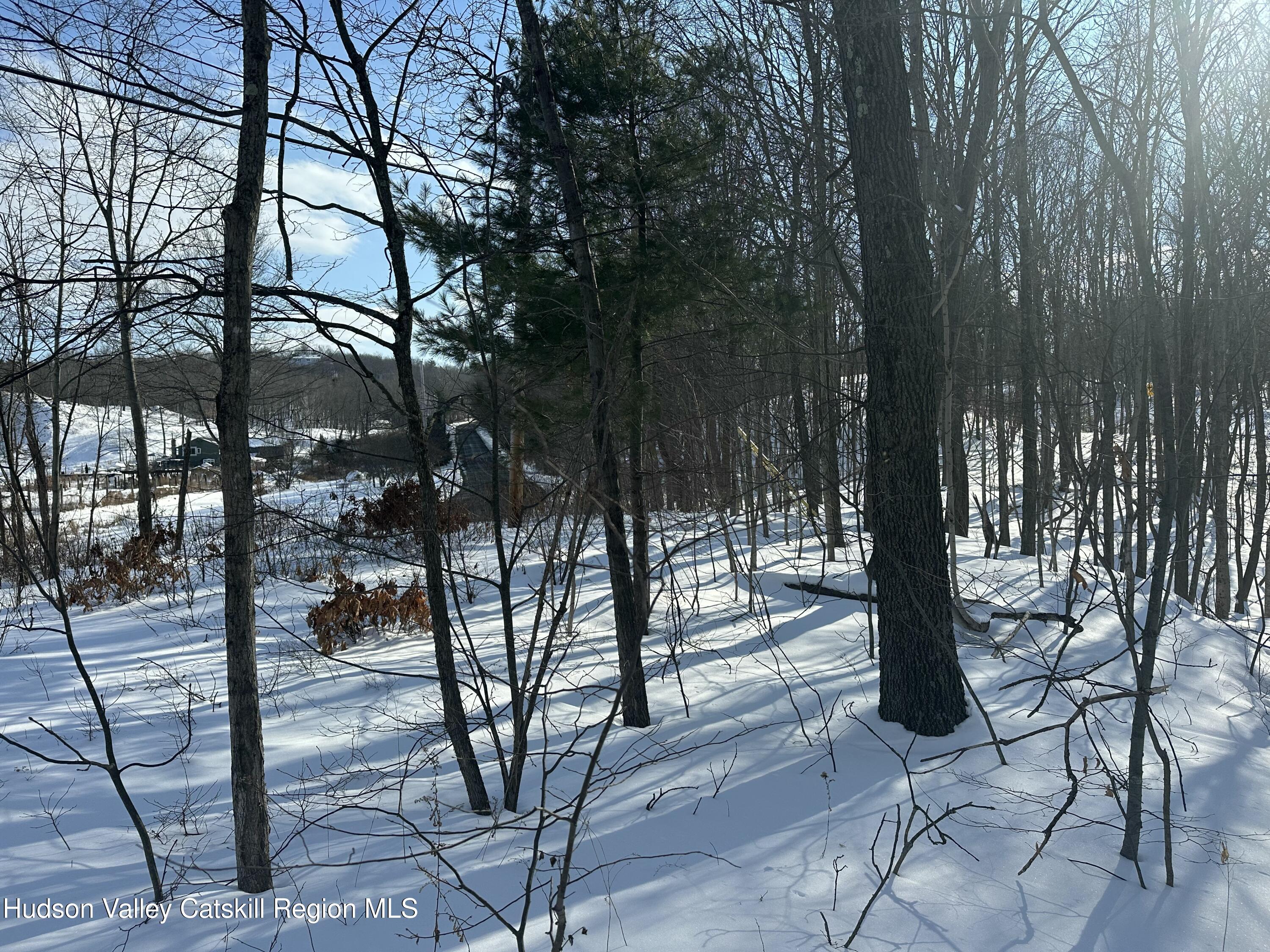 64 Palmer Road Craryville, NY 12521 - Photo 20 of 24 a view of outdoor space with seating area