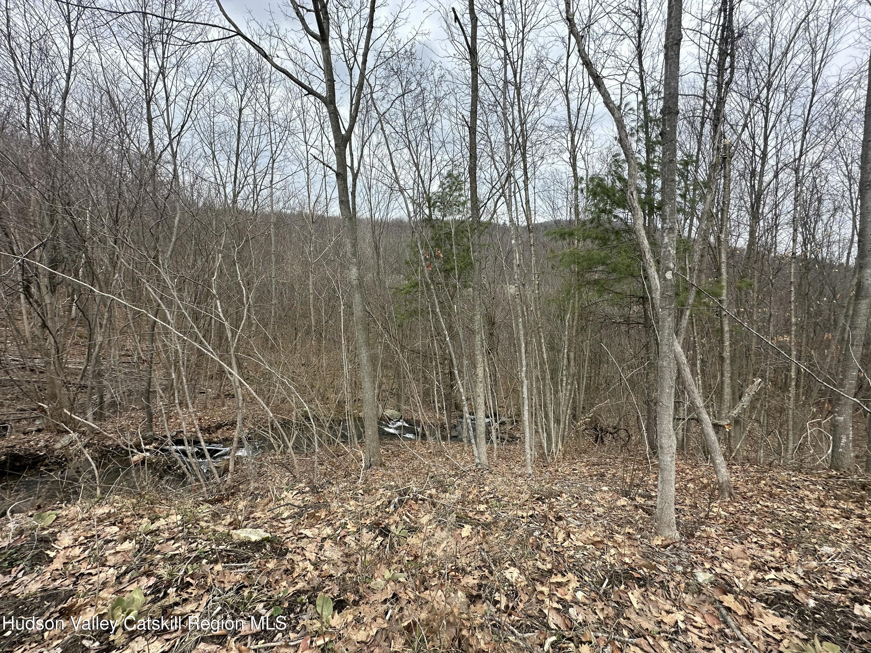 64 Palmer Road Craryville, NY 12521 - Photo 2 of 24 a backyard of a house with lots of green space