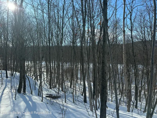 $75,000 | 64 Palmer Road, Craryville, NY 12521