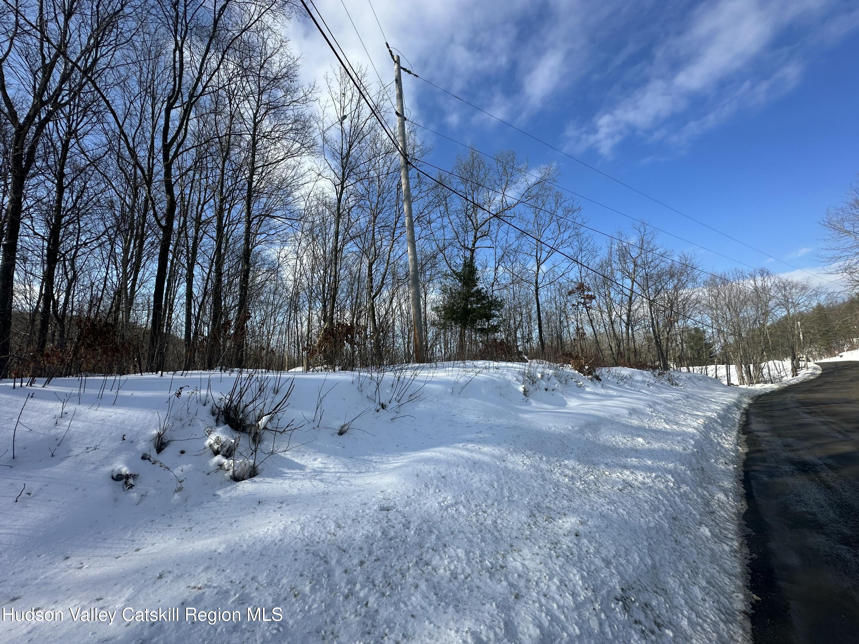 64 Palmer Road Craryville, NY 12521 - Photo 22 of 24 a view of outdoor space with trees