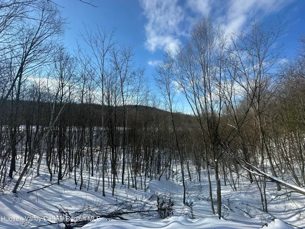 $75,000 | 64 Palmer Road, Craryville, NY 12521