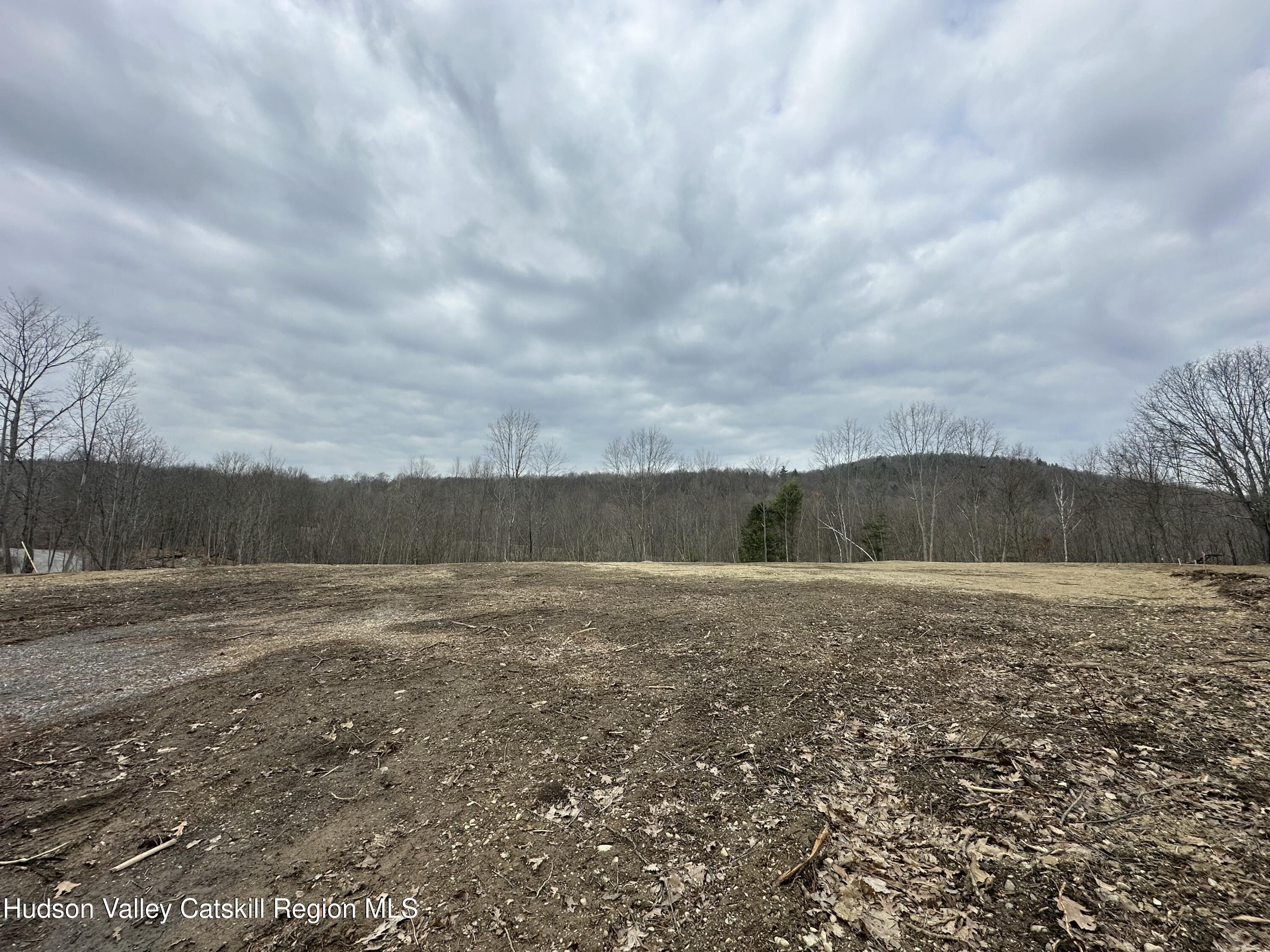 64 Palmer Road Craryville, NY 12521 - Photo 4 of 24 a view of a field with wooden fence