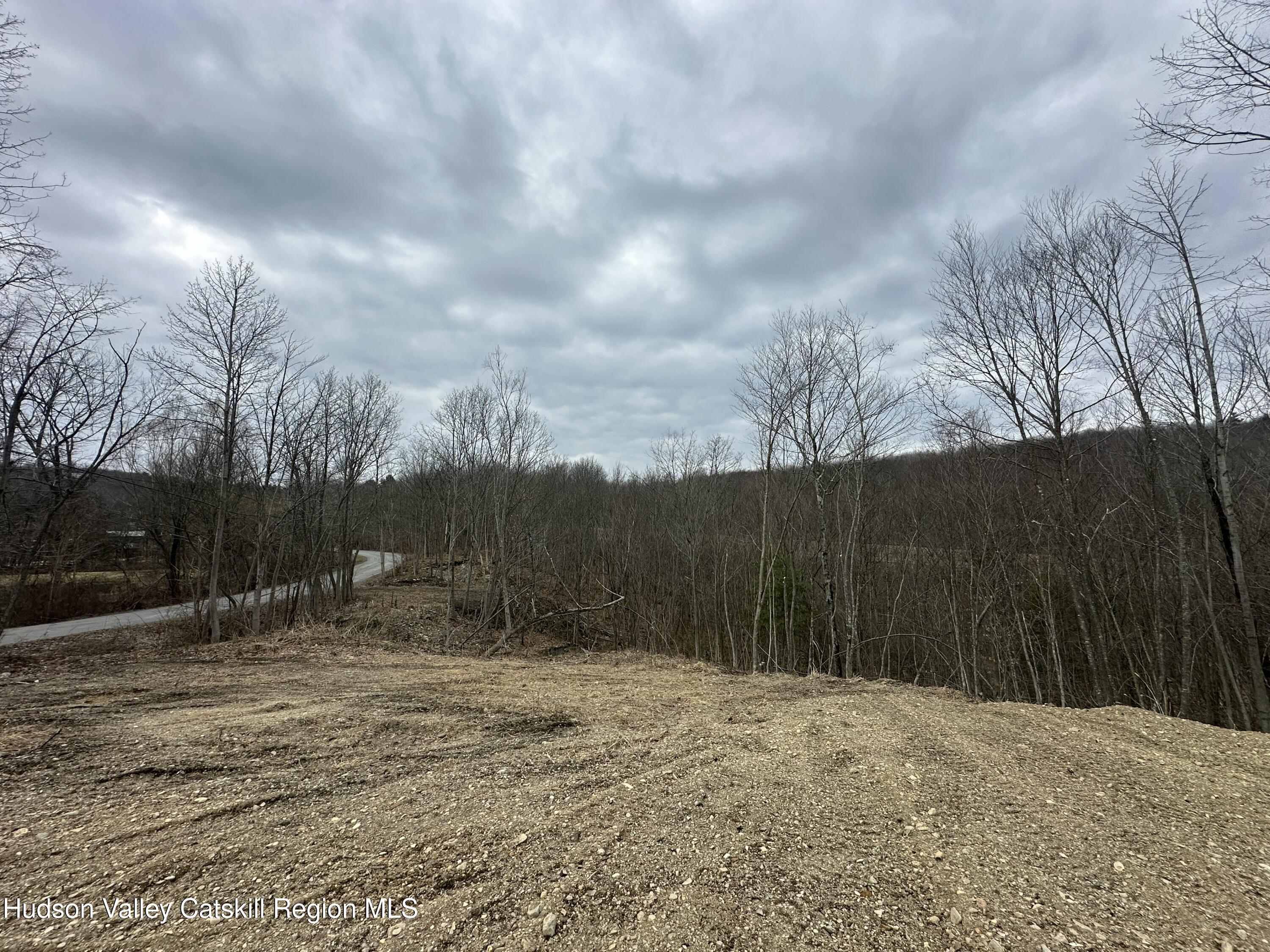 64 Palmer Road Craryville, NY 12521 - Photo 6 of 24 a backyard of a house