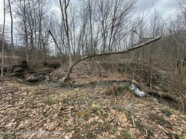 a view of forest