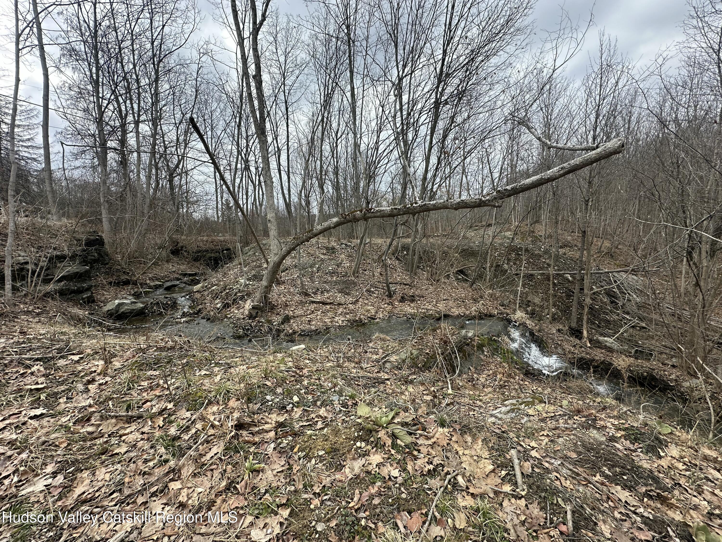 64 Palmer Road Craryville, NY 12521 - Photo 7 of 24 IMG_3858