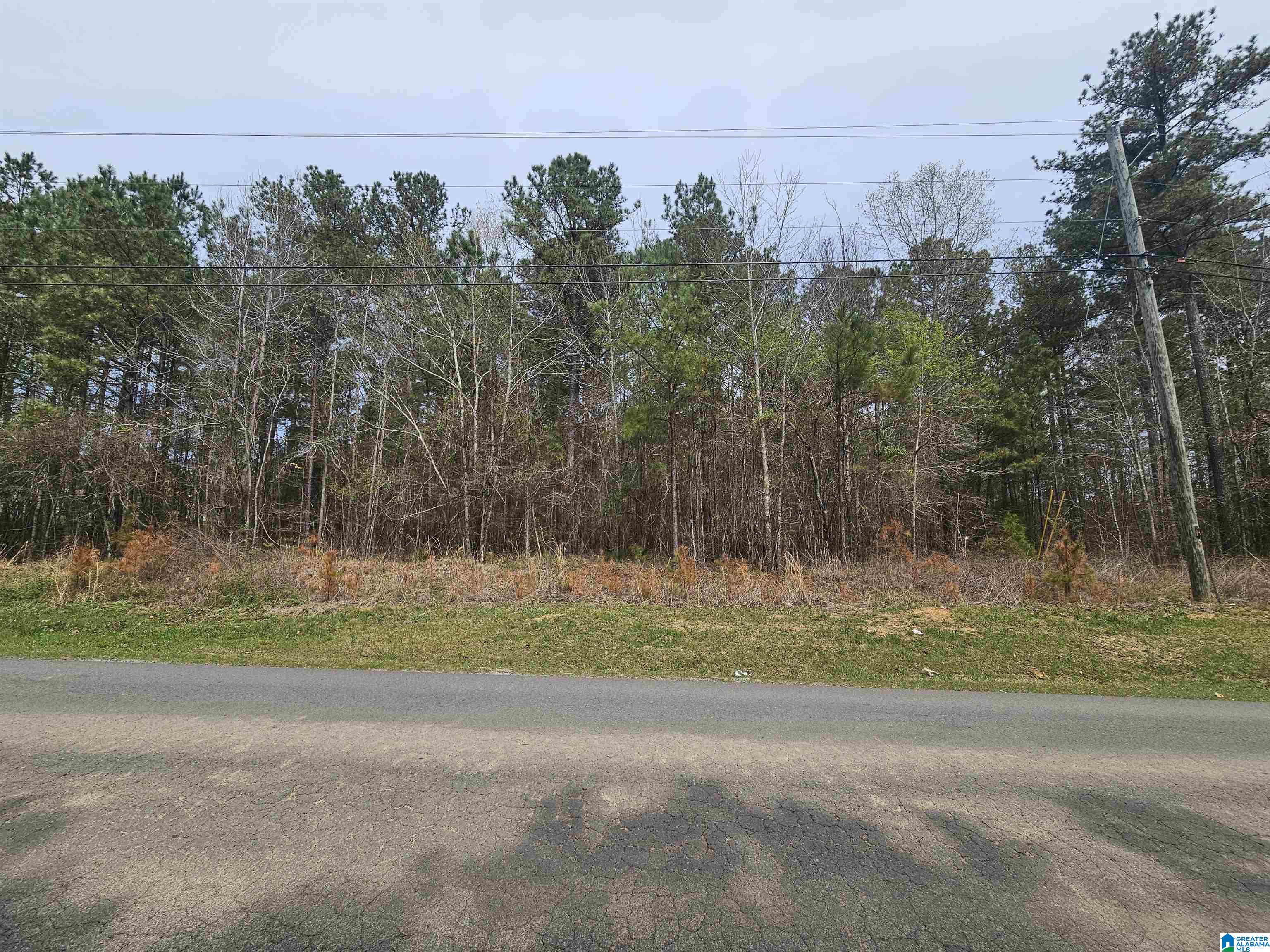 0 Hunters Xing Road, Unit 45&46 Odenville, AL 35120 - Photo 1 of 6