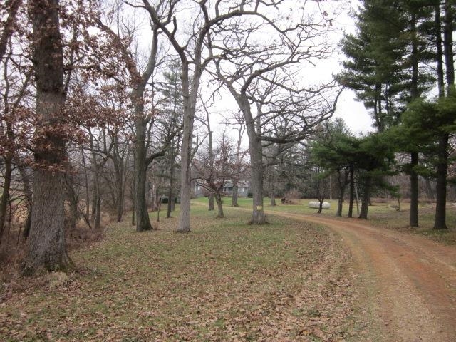 8141 Us Rte 20 West Lena, IL 61048 - Photo 22 of 22 a view of open space with trees