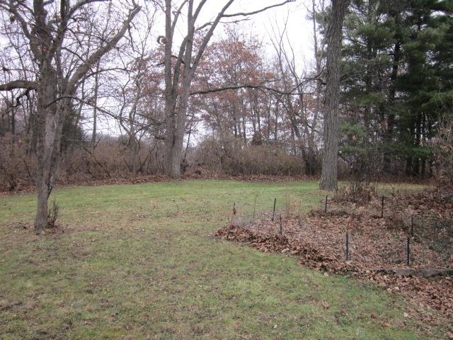 8141 Us Rte 20 West Lena, IL 61048 - Photo 4 of 22 a view of a green field with lots of bushes