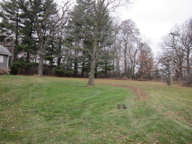 8141 Us Rte 20 West Lena, IL 61048 - Photo 5 of 22 a view of a garden with trees