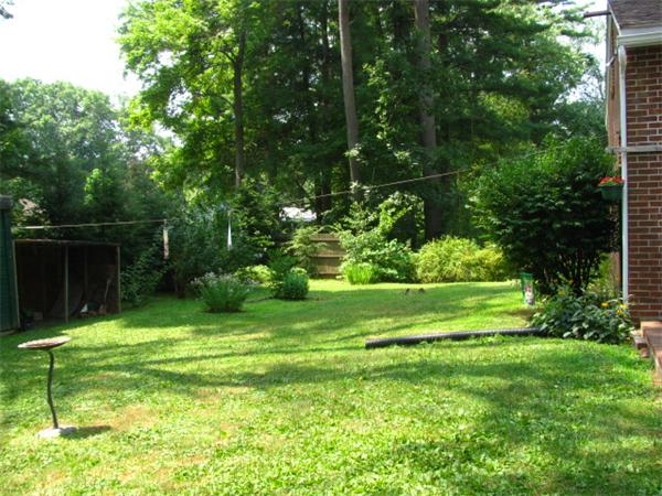 584 Ryan Road Northampton, MA 01062 - Photo 7 of 29 a backyard of a house with plants and large trees