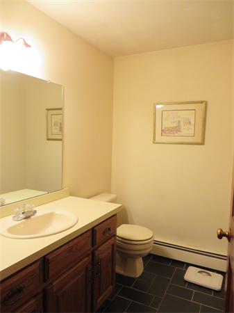 37 Mitchell Road Holliston, MA 01746 - Photo 22 of 28 Gallery Image 22