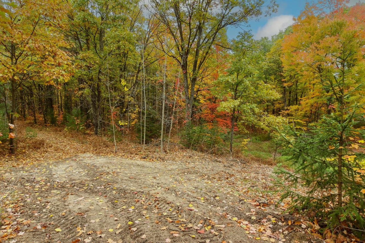 Parcel A Riley Road Interlochen, MI 49643 - Photo 4 of 16