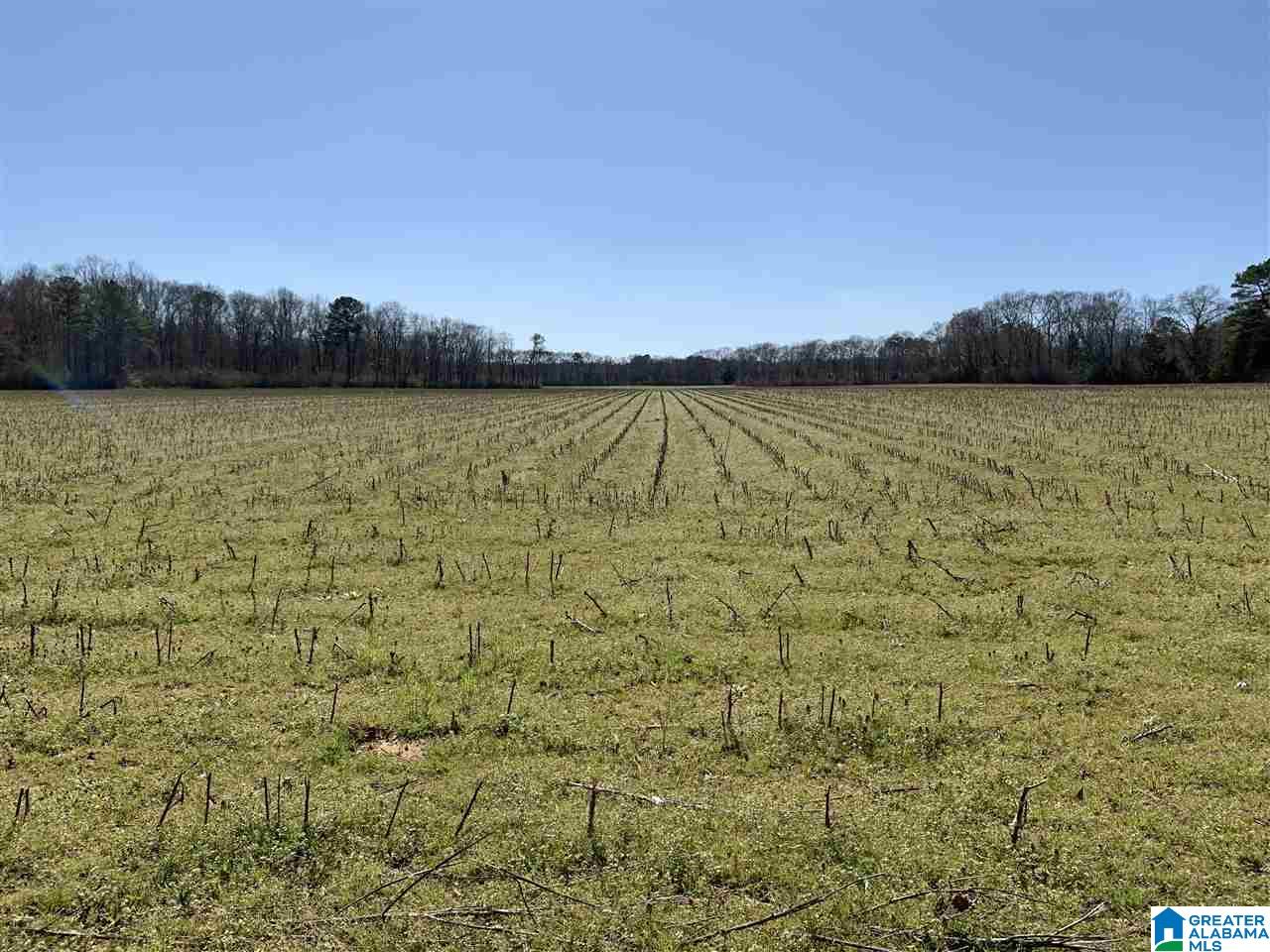 201 Barclay Road, Unit 115 AC Talladega, AL 35160 - Photo 3 of 30