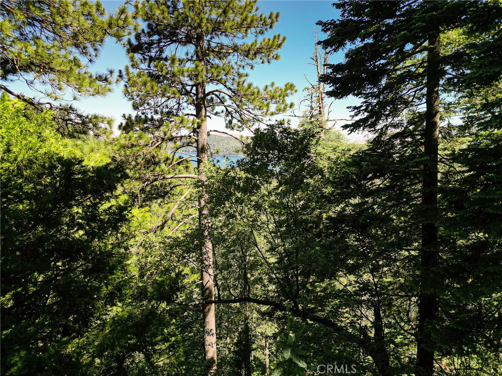 746 Blue Ridge Drive Skyforest, CA 92385 - Photo 7 of 18 Another angle from ground level. The view will really open up as trees are taken out to build the house.