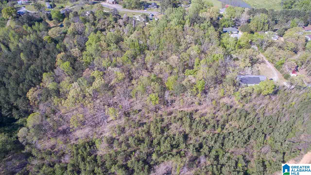 7037 Highway 10 Montevallo Al Montevallo, AL 35115 - Photo 34 of 35
