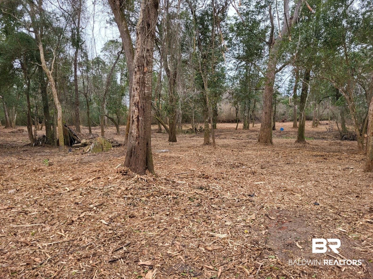 14121 Bunny Hop Foley, AL 36535 - Photo 2 of 7
