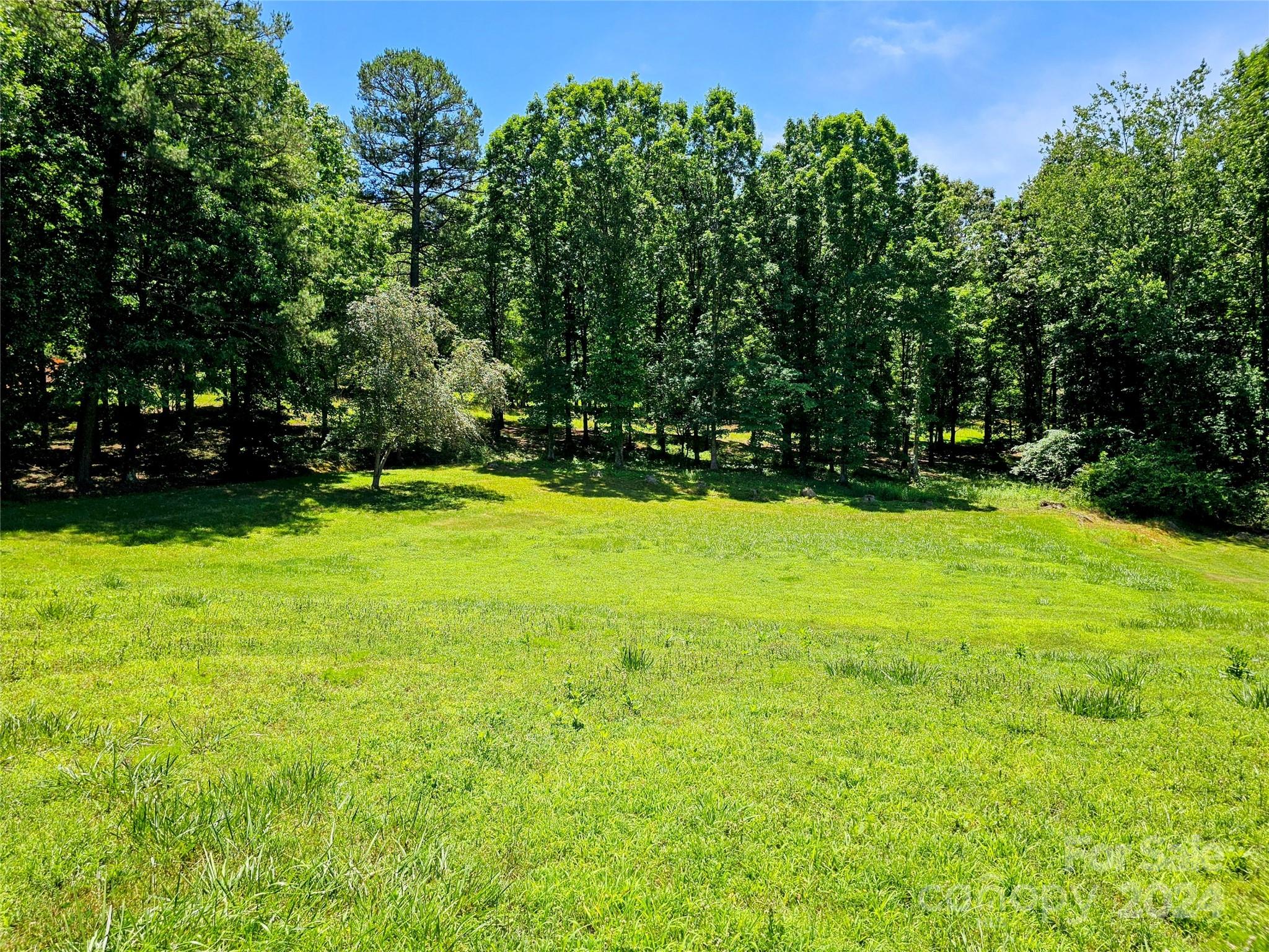1260 Bethel Road Morganton, NC 28655 - Photo 2 of 13 a view of a trees in a yard