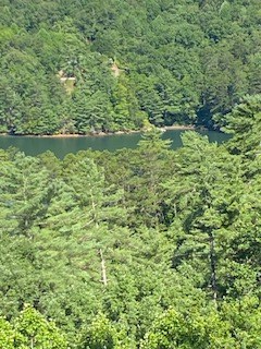 1001 Lake Apalachia Acres Road Murphy, NC 28906 - Photo 6 of 32 Gallery Image 6