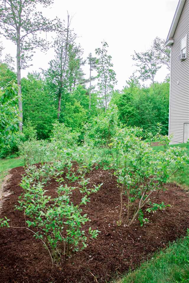 112 Old New Ipswich Road Rindge, NH 03461 - Photo 38 of 38