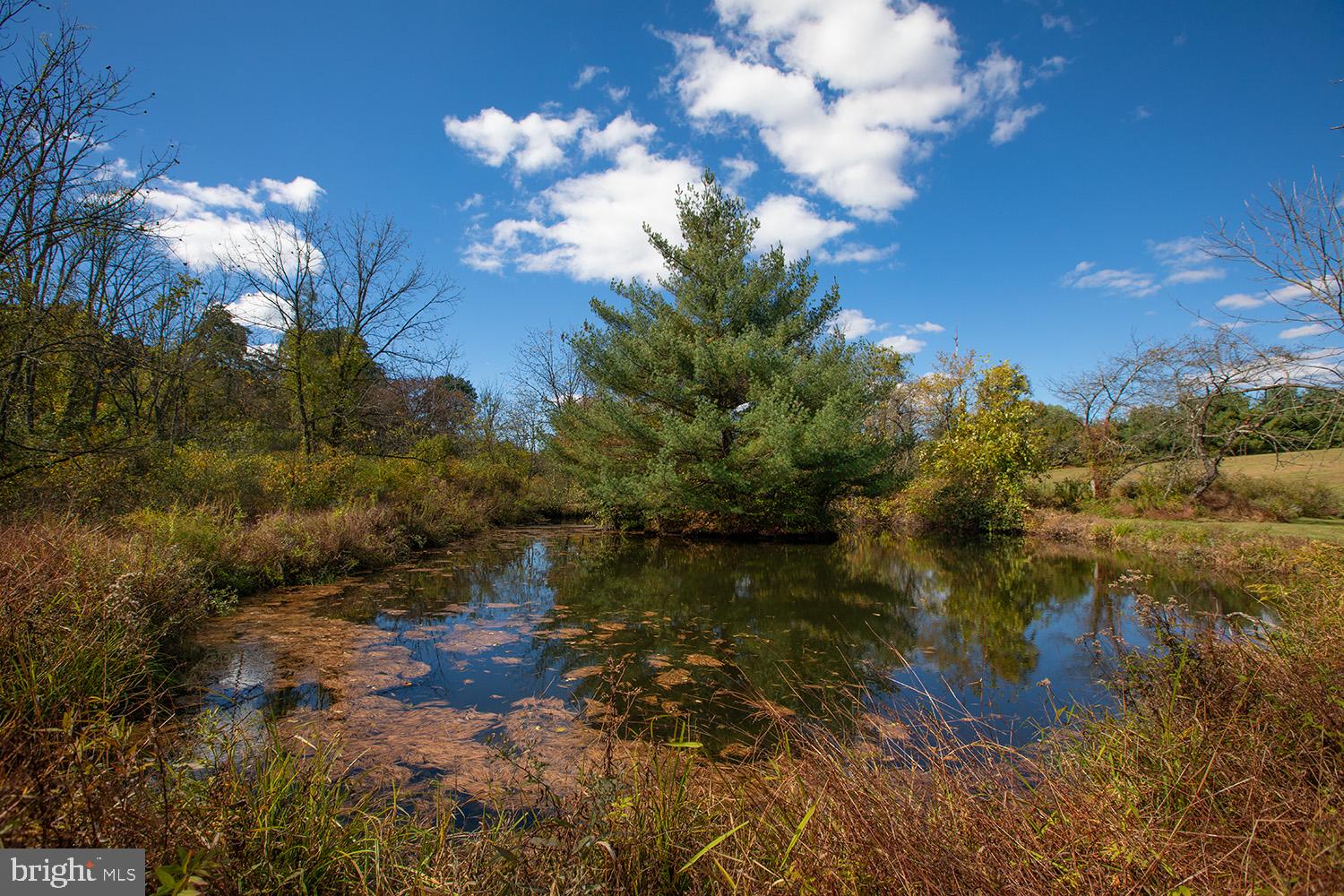 100 Kohlers Hill Road Kutztown, PA 19530 - Photo 26 of 65