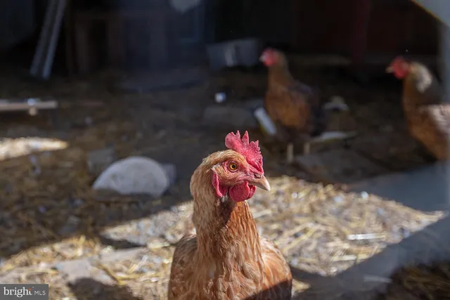 $779,900 | 100 Kohlers Hill Road, Kutztown, PA 19530