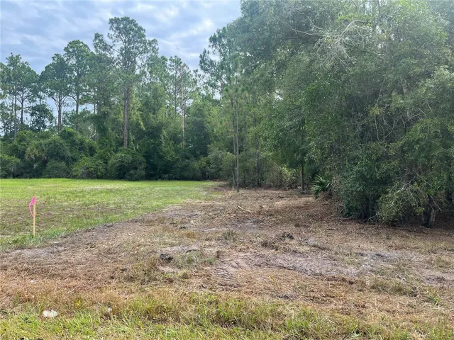 a view of a field with trees in the background
