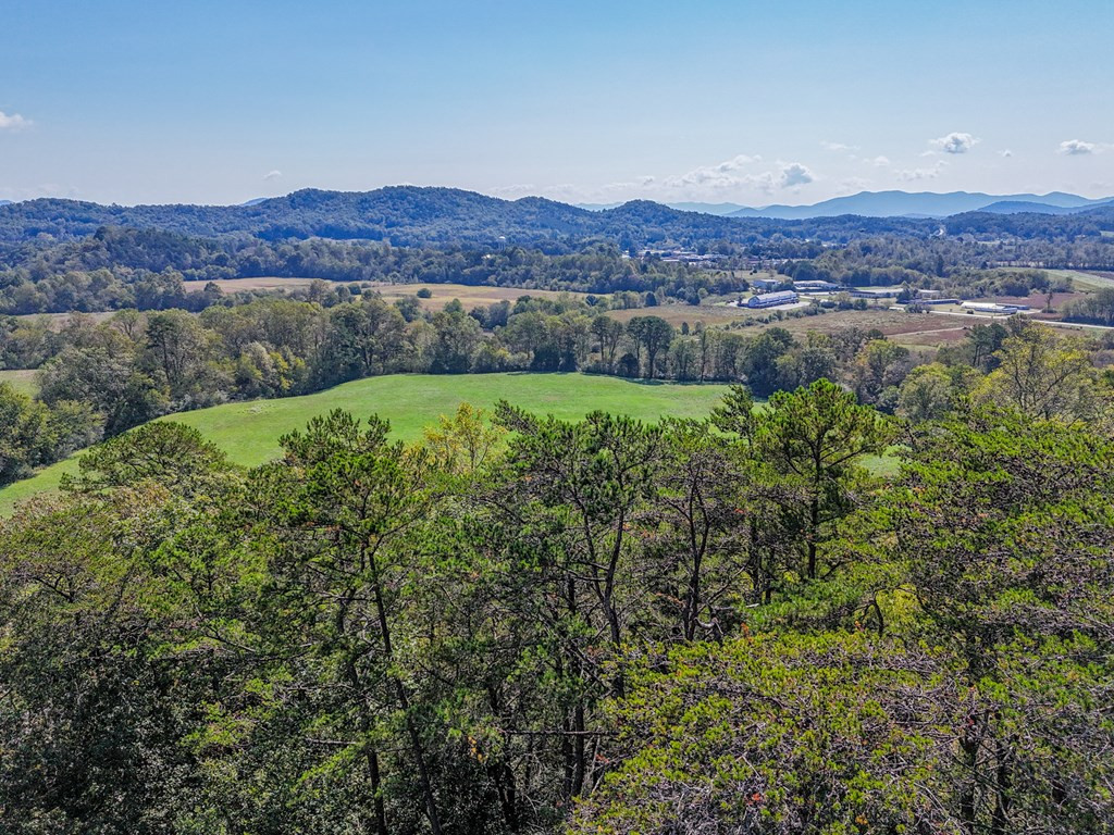 0 Mistletoe Ridge Murphy, NC 28906 - Photo 26 of 34