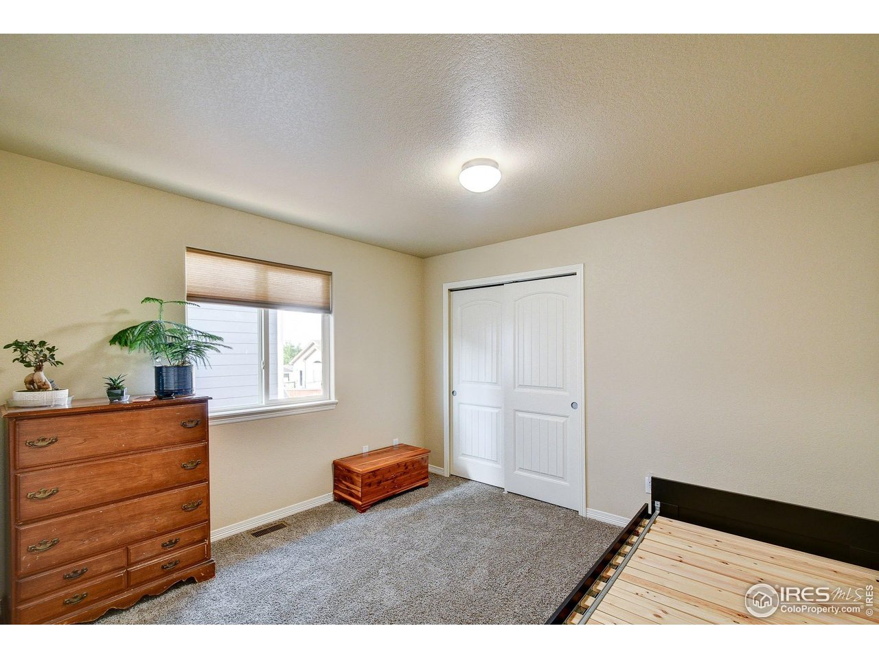 6743 Sequoia Street Frederick, CO 80530 - Photo 19 of 39 a room with furniture and window