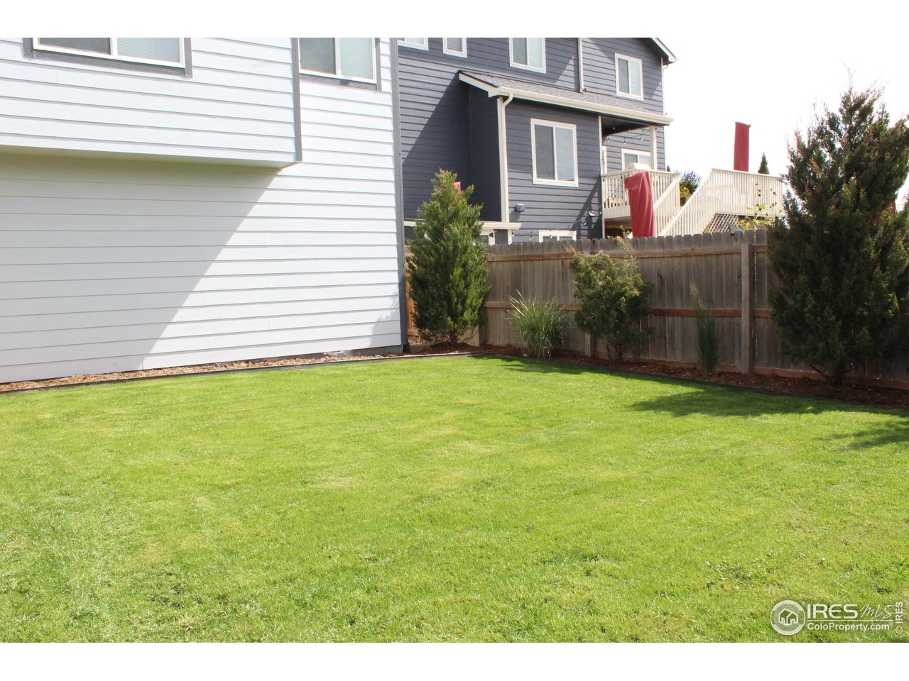 6743 Sequoia Street Frederick, CO 80530 - Photo 34 of 39 a front view of house with yard and trees