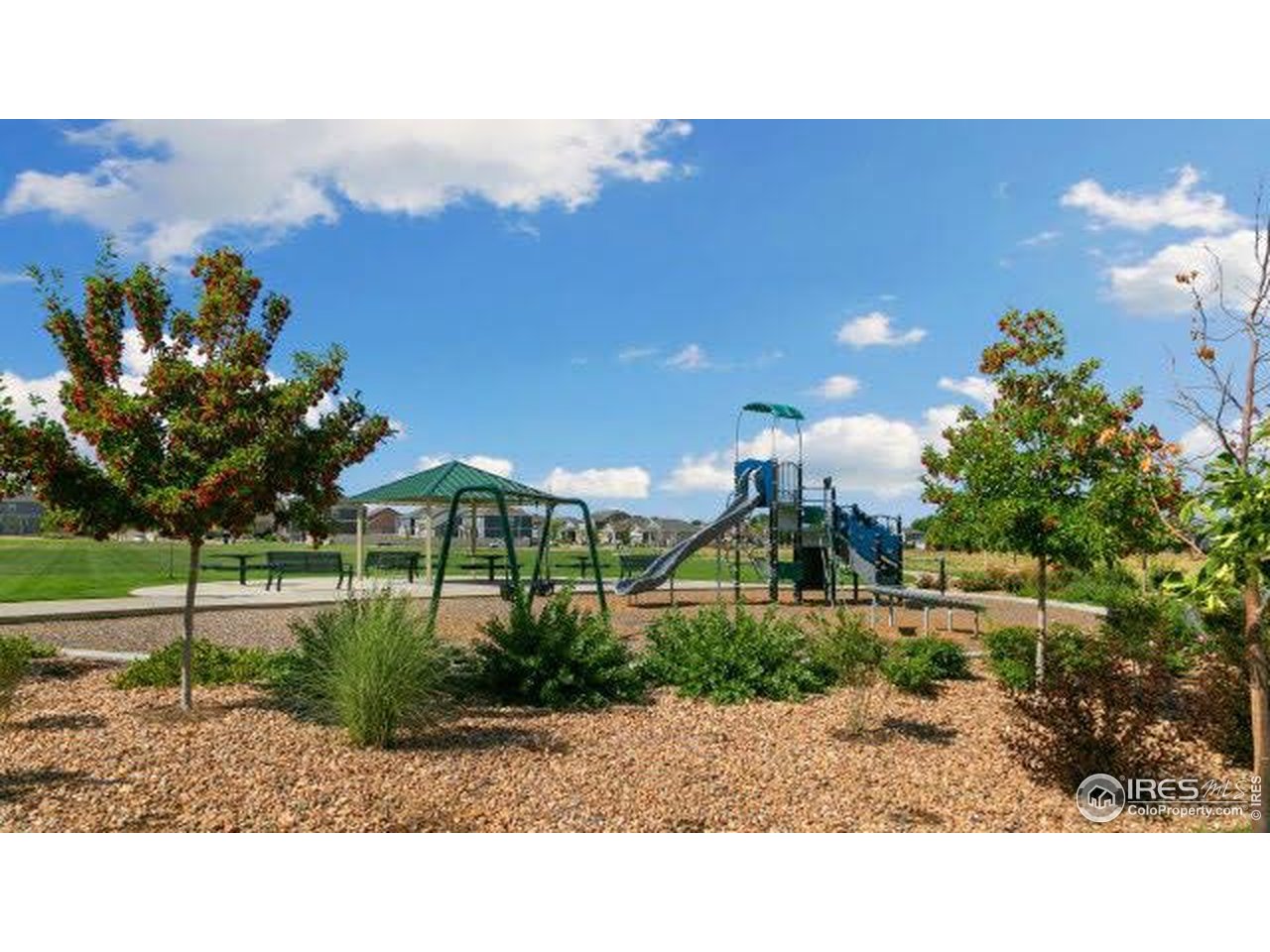 6743 Sequoia Street Frederick, CO 80530 - Photo 39 of 39 a view of a garden