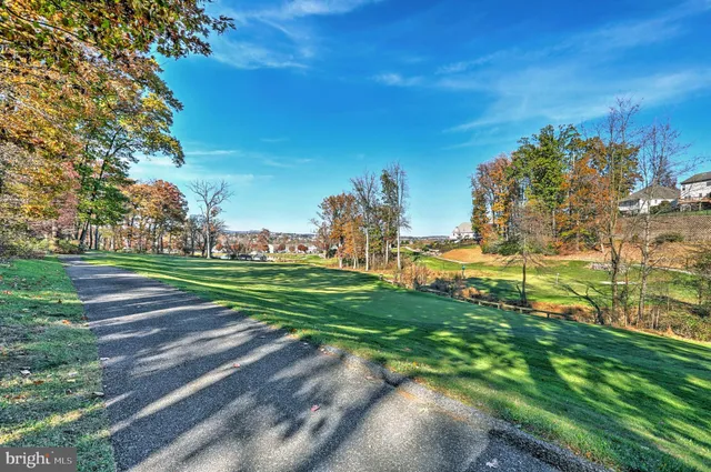 a view of a park with large trees